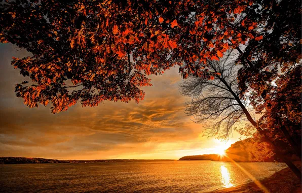 Autumn, sunset, branches, river, shore, foliage, the rays of the sun
