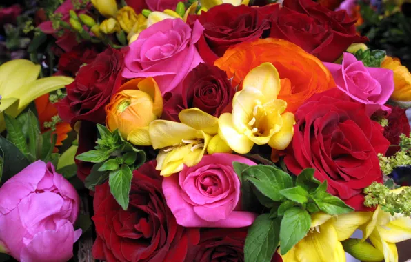 Picture flower, flowers, roses, bouquet, red, pink, orange