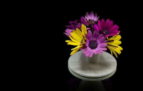 Flowers, bouquet, yellow, black background, stand, lilac, composition, osteospermum