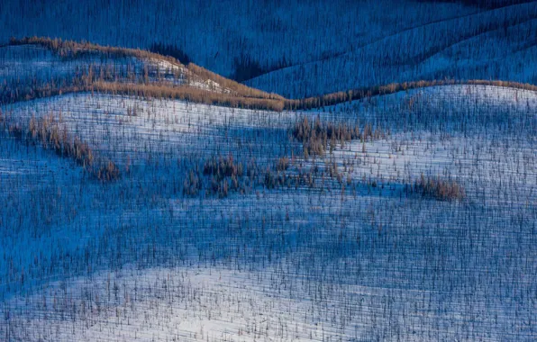 Picture winter, mountains, hills, Colorado, USA, Wolf Creek Pass