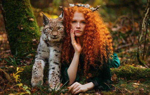 Picture autumn, girl, nature, animal, predator, red, lynx, curls