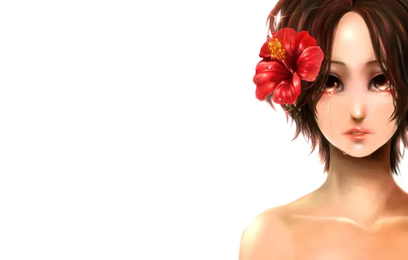 Picture flower, girl, tears, art, white background, one piece, hibiscus, portgas d ace