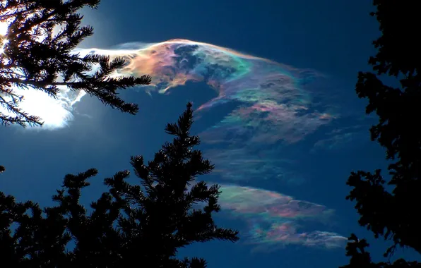 The sky, clouds, trees, ice, clouds, crystal, the top, Rocky Mountain