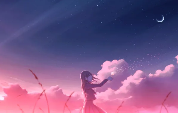 The sky, girl, dandelion, the moon