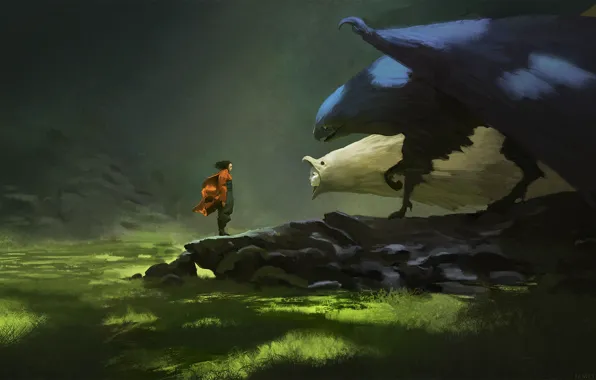 Grass, girl, light, rock, stones, the wind, monster, shadow