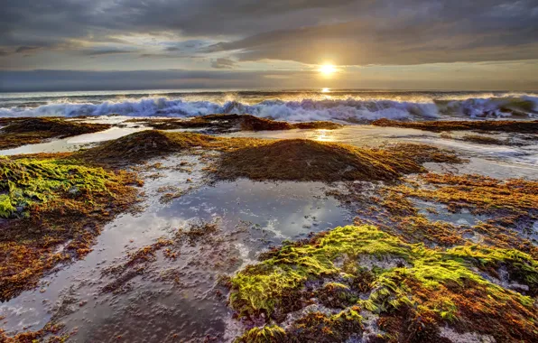 Picture sea, wave, the sky, clouds, algae, sunset, stones