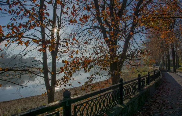 Autumn, the sun, Park, dawn, October, promenade
