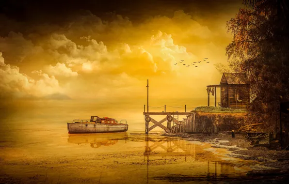 The sky, landscape, sunset, birds, nature, reflection, rendering, tree