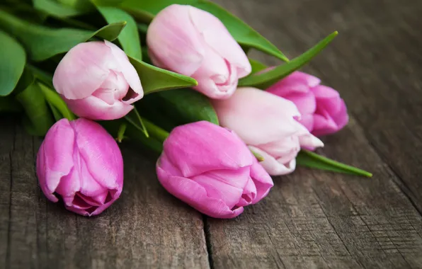 Wallpaper bouquet, tulips, wood, pink, tulip