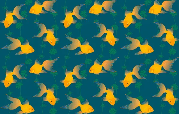 Algae, pattern, goldfish, tail