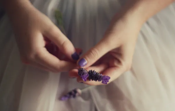 Girl, flowers, background, Wallpaper, blue, wallpapers, hand. flowers. purple
