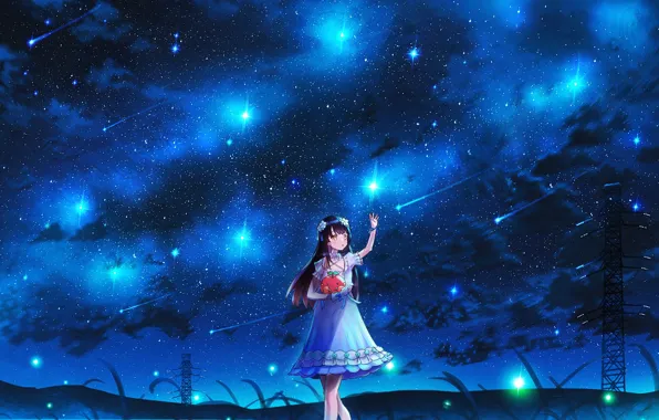The sky, girl, night, toy, Starfall