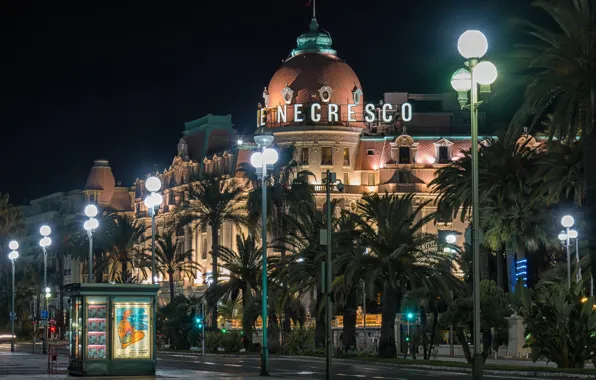 Picture France, Night, The city, Street, Palm trees, Street Lights, House Nice