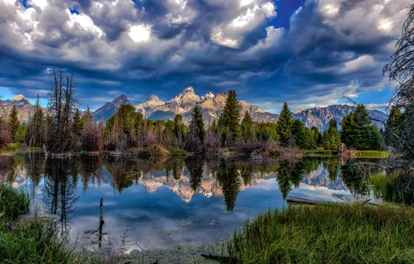 Forest, the sky, clouds, trees, mountains, pond