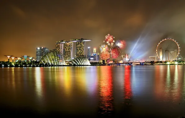 The sky, night, the city, lights, holiday, wheel, backlight, Singapore