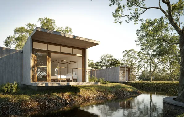 Leaves, trees, pond, architecture, structure