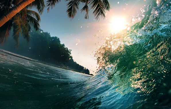 Wallpaper palm trees, wave, rays, light, water, the ocean, the sun, the sky