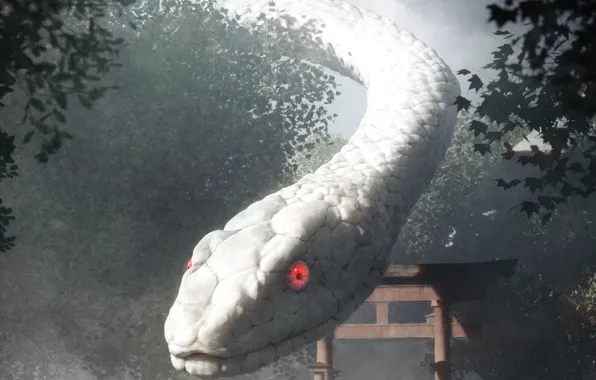 Trees, snake, fantasy, torii