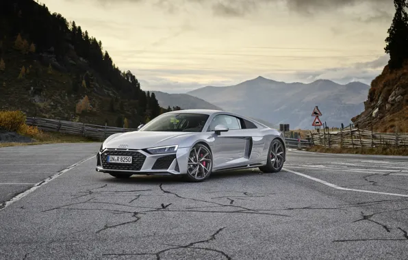 Audi, supercar, Audi R8, Coupe, V10, 2020, RWD