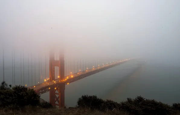 Landscape, bridge, fog, California, San Francisco, golden gate bridge