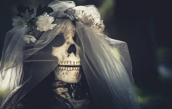 Picture skull, the bride, veil