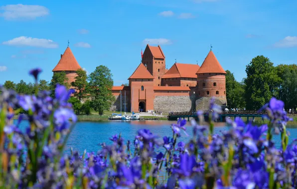 Trees, flowers, bridge, lake, blue, castle, shore, boats