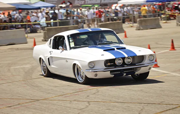 Mustang, Ford, Shelby, Ford, Mustang, Muscle car, Muscle car, 350GT