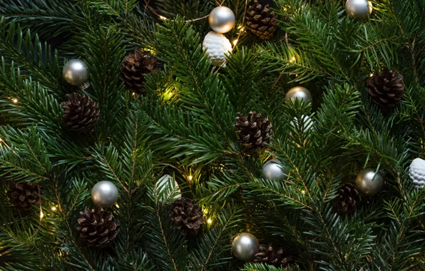 Green, christmas tree, christmas lights