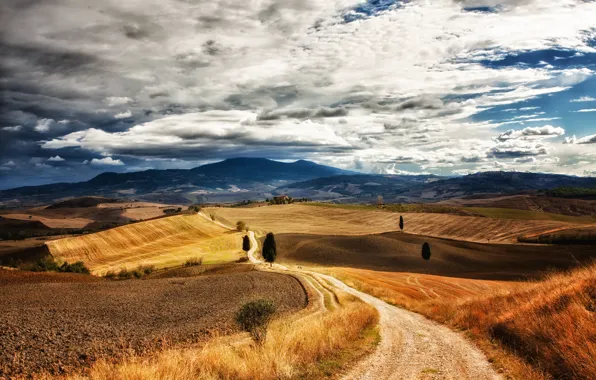 Field, the sky, clouds, trees, hills, Italy, blue, path