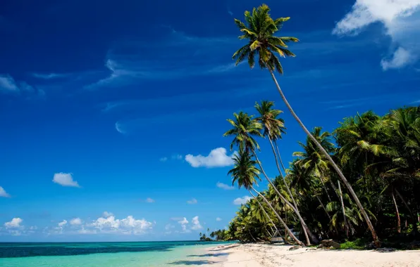 Picture sand, sea, beach, tropics, palm trees, Little Corn Island