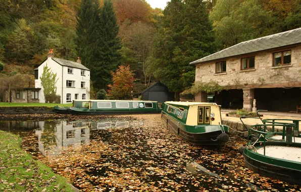 Picture Autumn, River, Boats