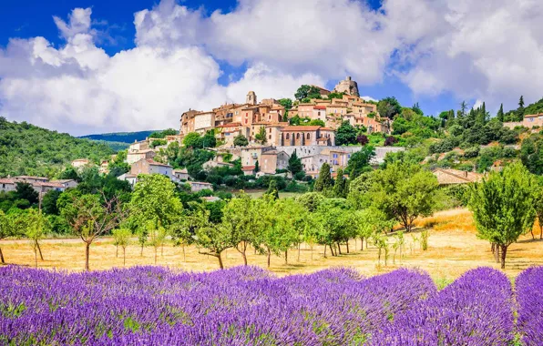 France, lavender, plantation, Provence, Simian-La-Rotonde