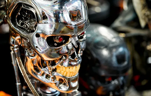 Metal, skull, Terminator, cyborg