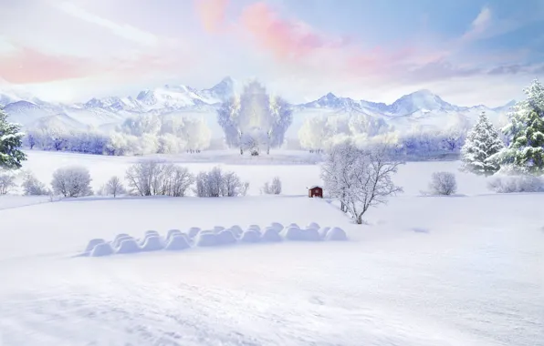 Winter, frost, field, the sky, clouds, snow, trees, mountains