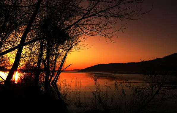 The sky, trees, sunset, lake, silhouette