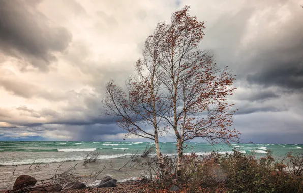 Sea, autumn, the sky, clouds, clouds, stones, overcast, the wind