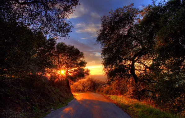 Road, trees, landscape, sunset