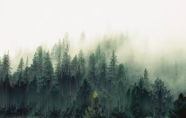Fog, Forest, Art, Pixels
