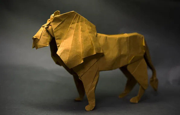Picture paper, Leo, origami
