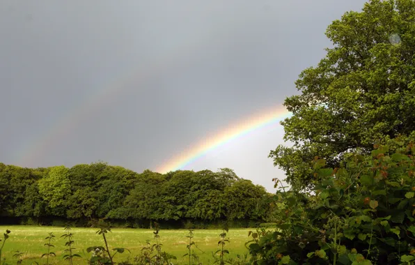 Picture Nature, Field, Rainbow, Rainbow, Nature, Field