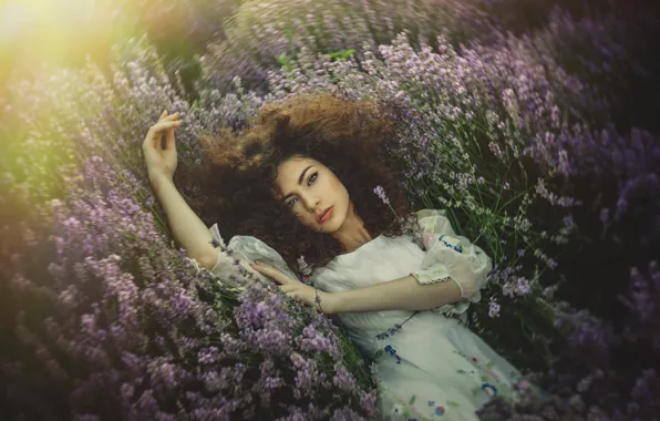 Field, look, girl, flowers, nature, face, pose, white