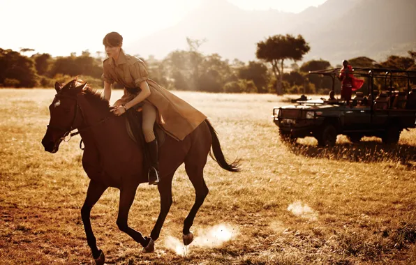 Field, machine, grass, the sun, trees, nature, model, horse