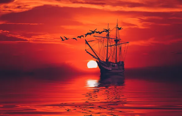 Sea, the sky, birds, surface, ship, calm