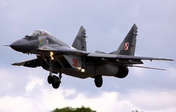 Weapons, the plane, Mig 29