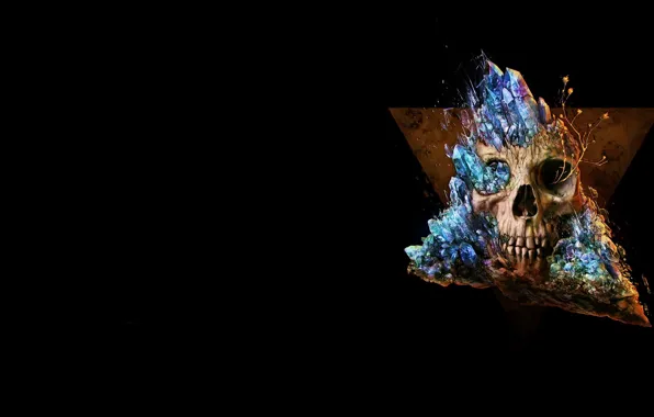 Picture crystal, skull, minimalism, art