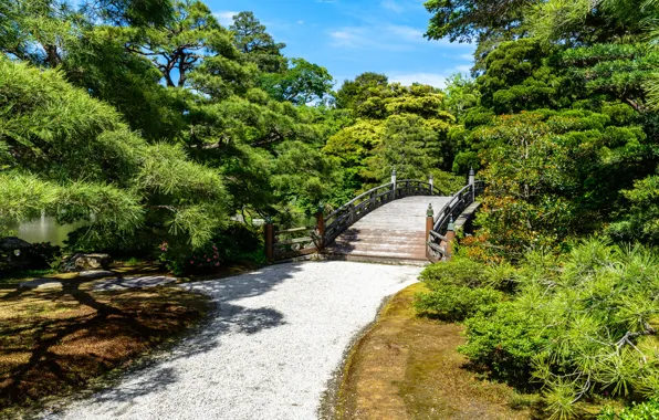 Nature, Bridge, Japan, Park, Track, Kyoto