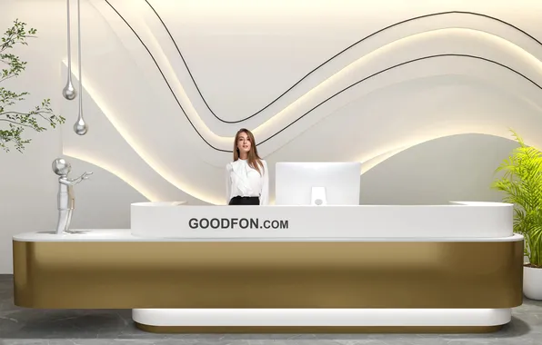 Woman, reception, reception desk
