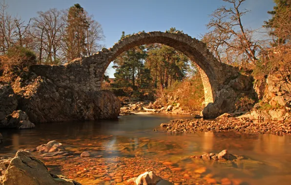 Picture bridge, nature, river