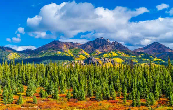 Picture clouds, landscape, mountains, Alaska, USA