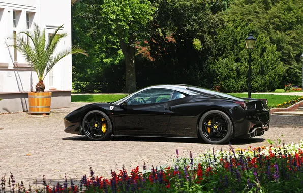 Black, wheels, ferrari, Ferrari, drives, black, side view, flowerbed